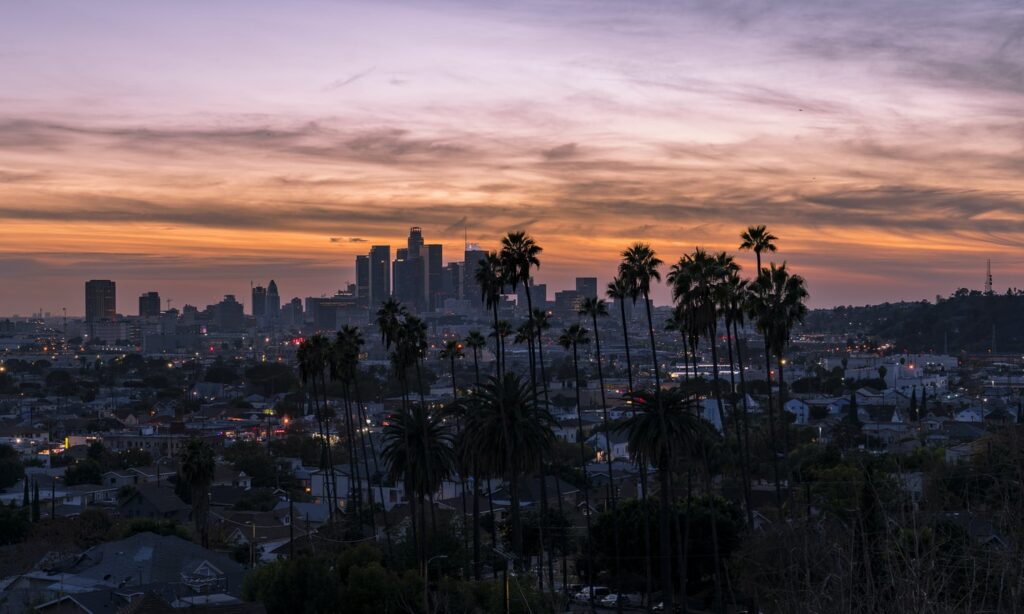10 Most Profitable Small Business Opportunities in Los Angeles, California